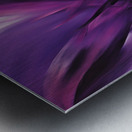 The Purle Aurora 1 Metal print