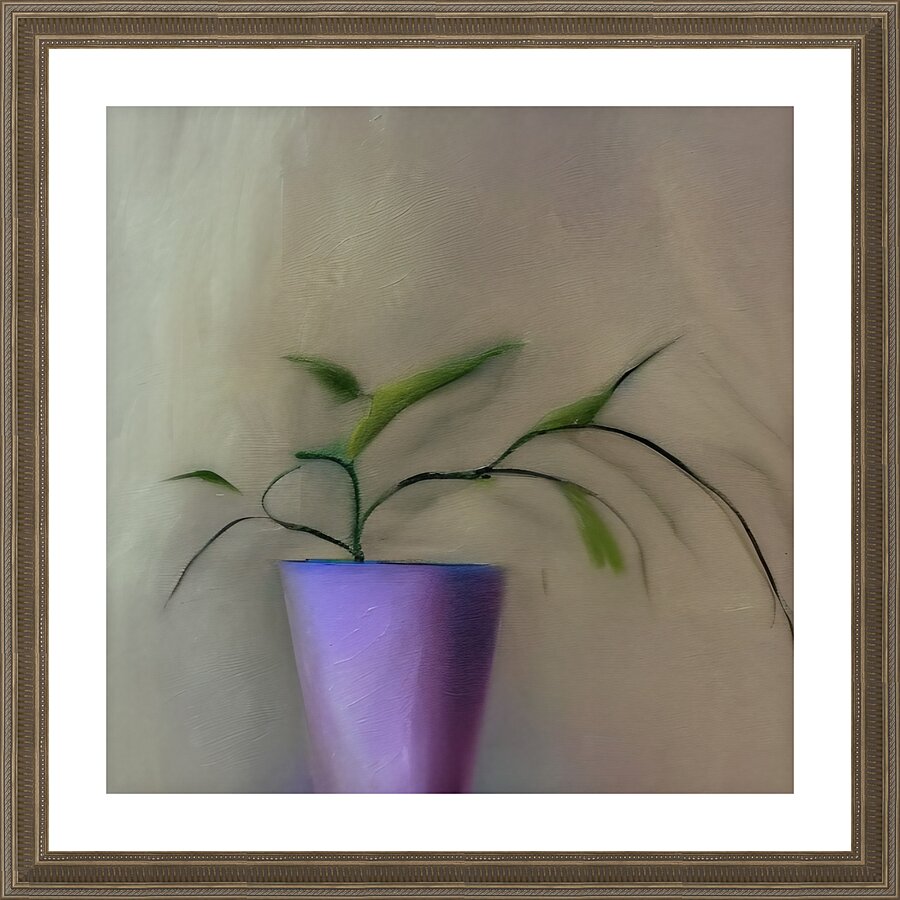 Rooted. Picture Frame print