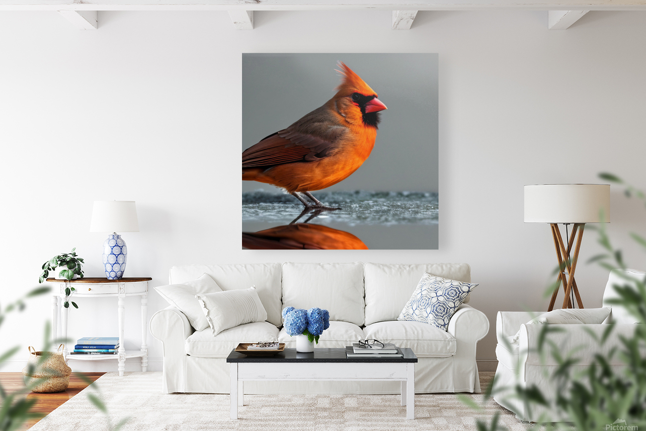 Introspective. Reproduction