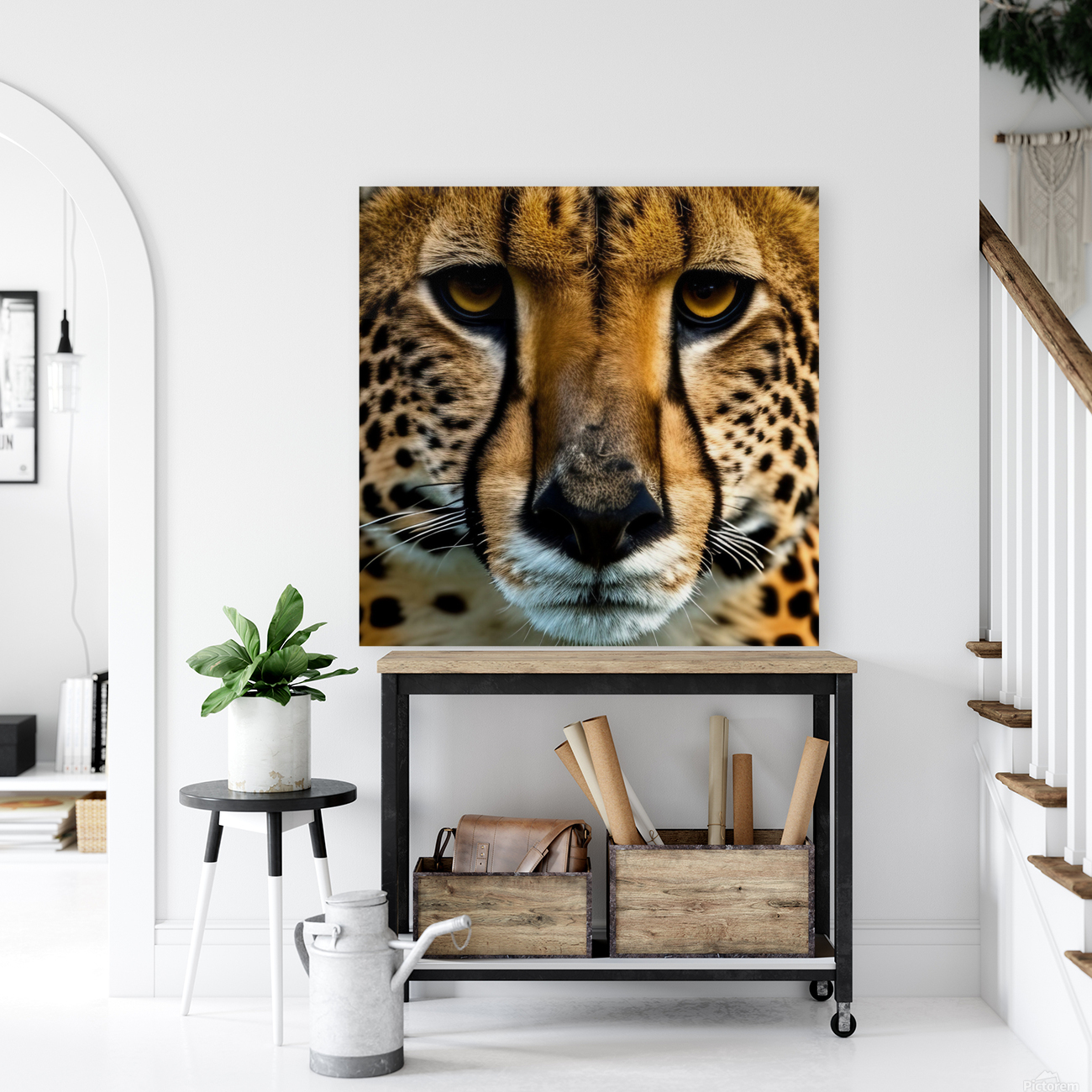 The Approach. Tiger. Reproduction