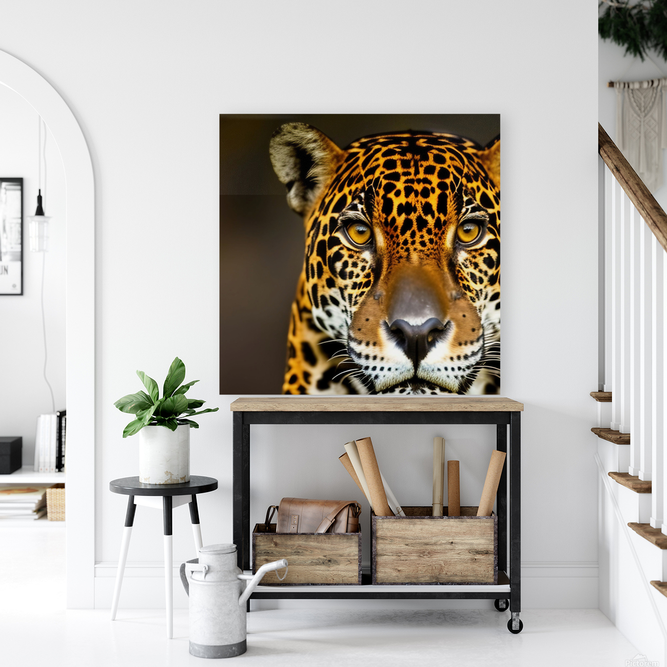 On Sight. Eyes. Reproduction