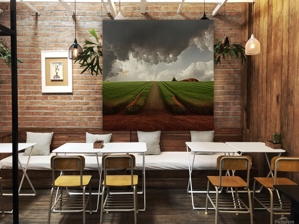 Transitions Reproduction