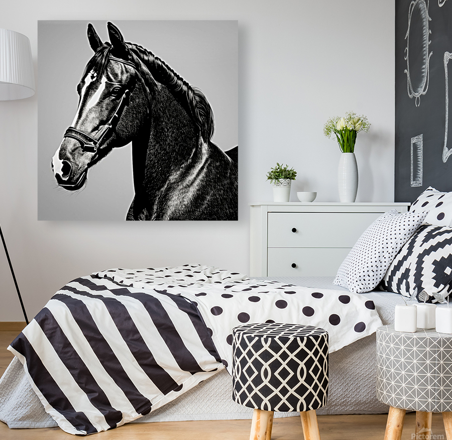 Sinbad. Horse. Line Art. Reproduction