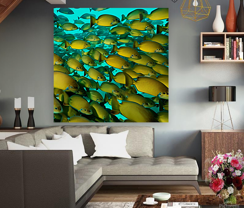 Infiltrated.  Reproduction