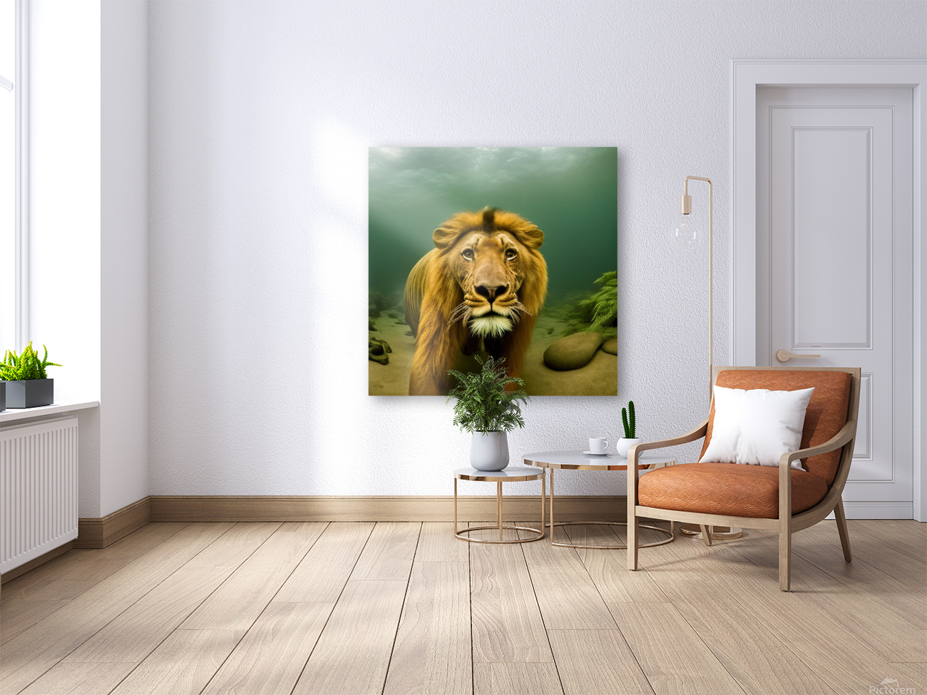 Lion. Playtime. Reproduction