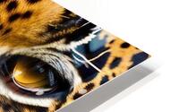 Tiger Eyes  HD Metal print