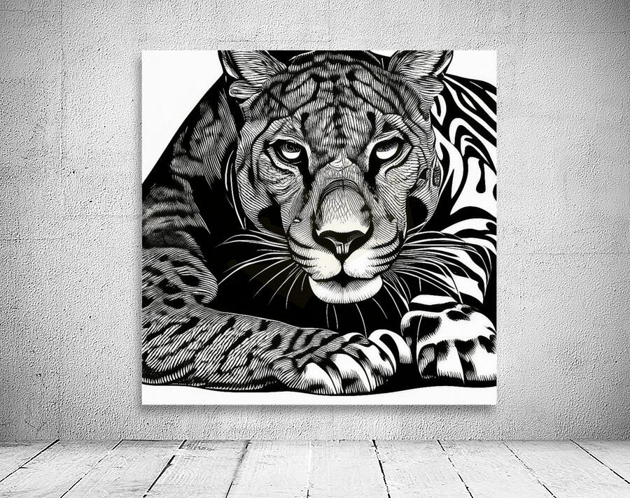 Comfort Zone.  Wall Preview