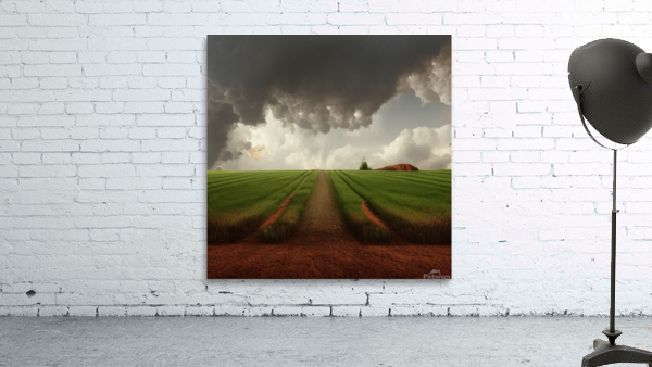 Transitions Wall Preview