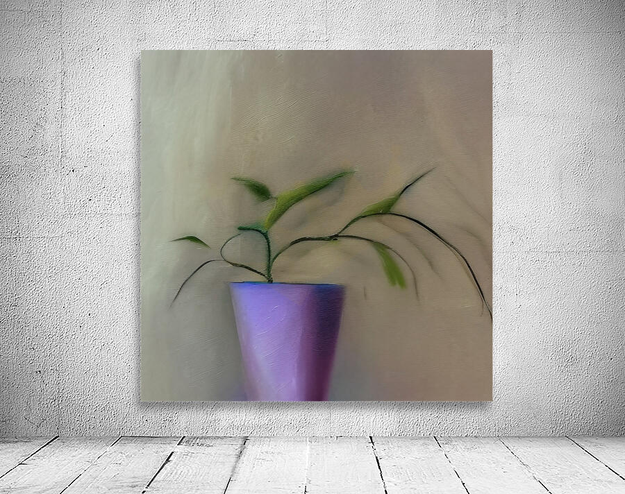 Rooted. Wall Preview