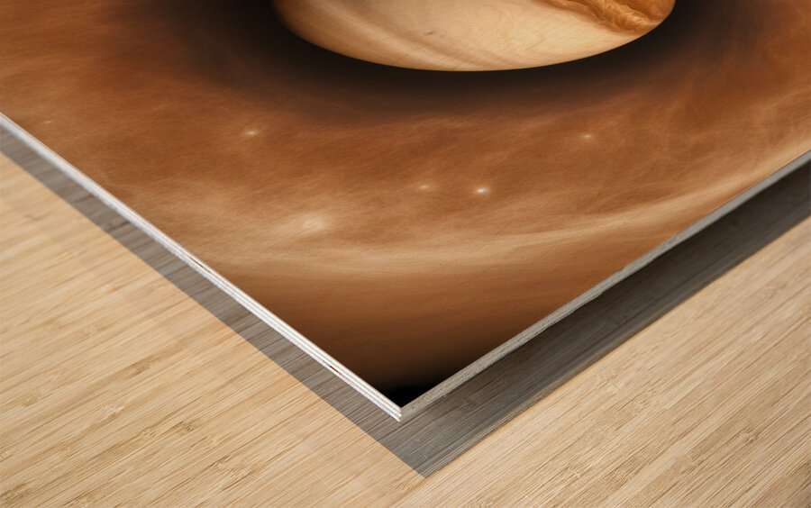 TAME Gallery 1 21 Wood print