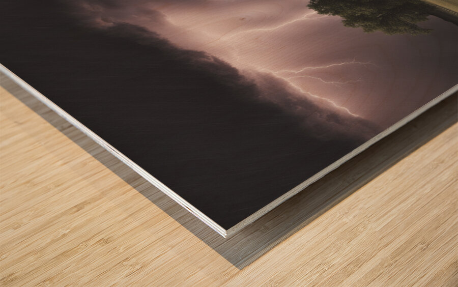 TAME Gallery 1 27 Wood print