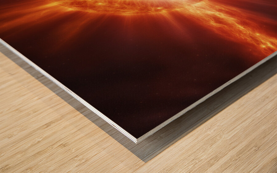 TAME Gallery 1 32 Wood print