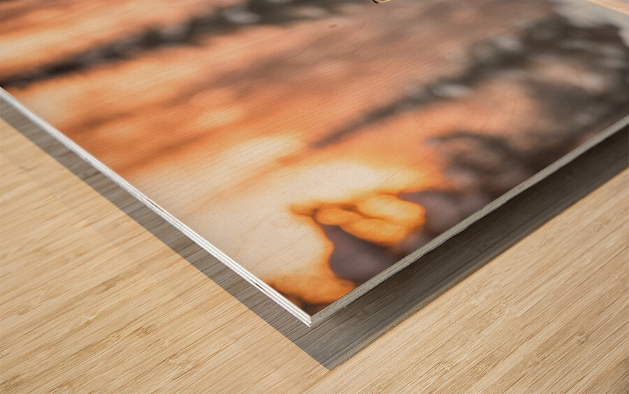 Winter Wonderland & Christmas Celebration 22 Wood print