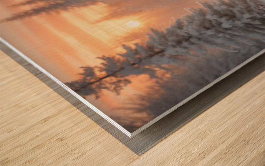 Winter Wonderland & Christmas Celebration 23 Wood print