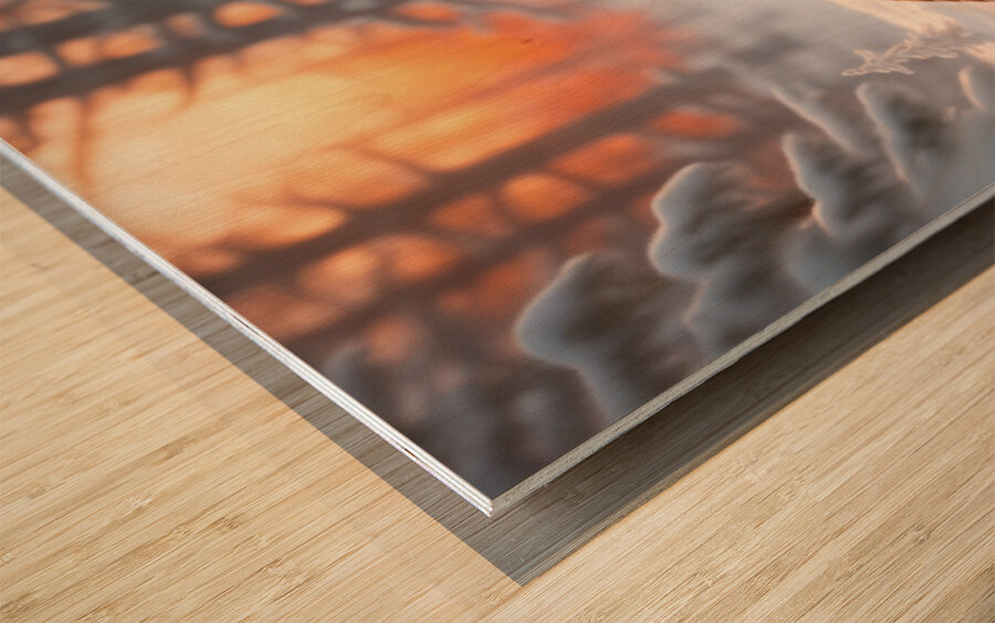 Winter Wonderland & Christmas Celebration 37 Wood print