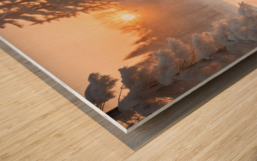 Winter Wonderland & Christmas Celebration 45 Wood print