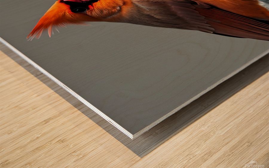 Introspective. Wood print