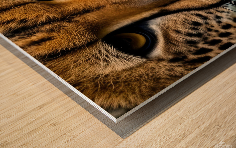 The Approach. Tiger. Wood print