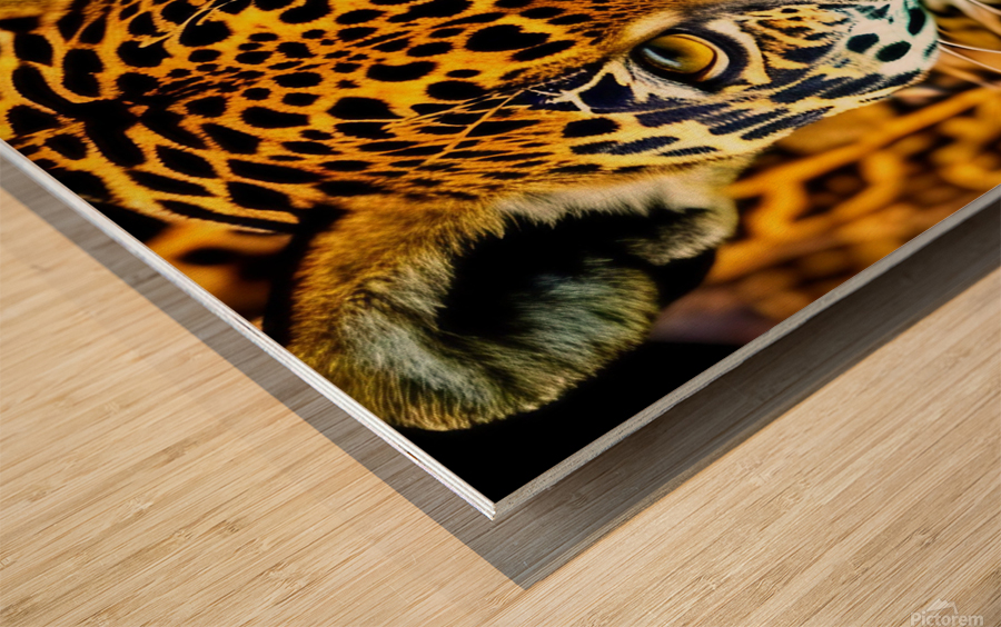 Moment of Clarity.  Wood print