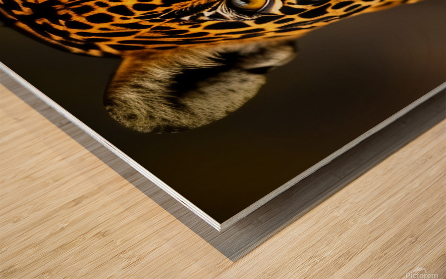 On Sight. Eyes. Wood print