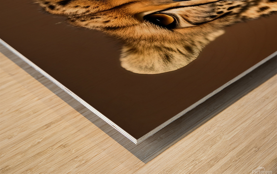 Intentional. Cheetah.  Wood print