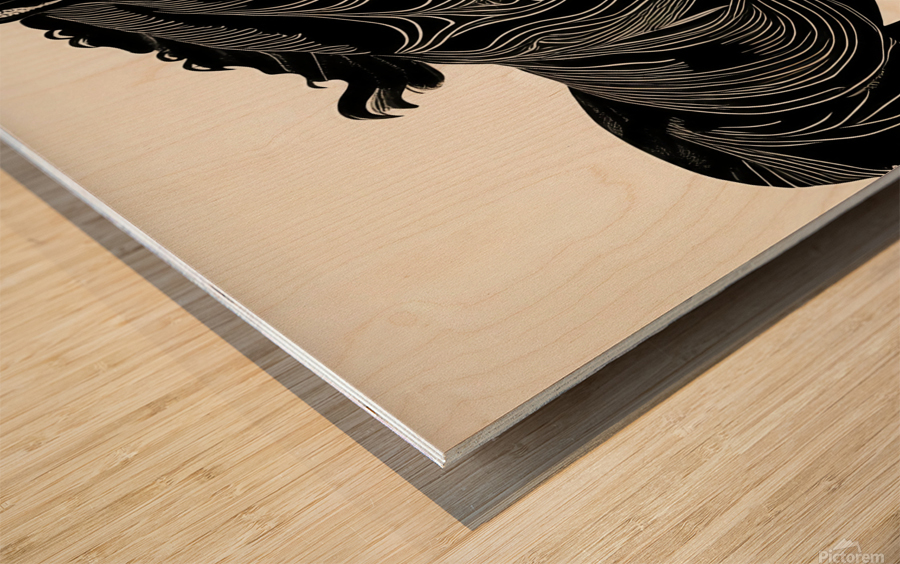 Black Stallion  Impression sur bois