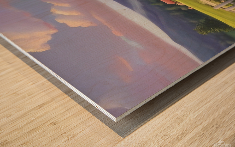 Farm Life 3 Wood print