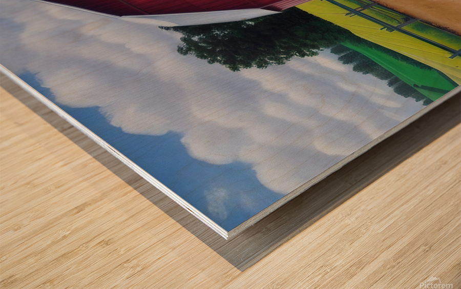 Farm Life 4 Wood print