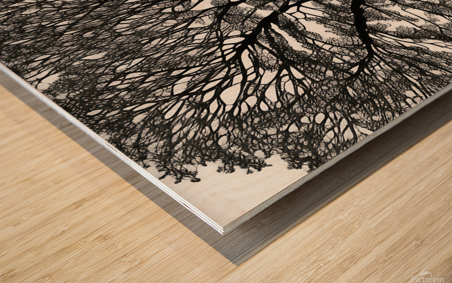 Tree of Life 2 Wood print