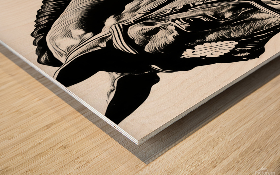 Emilie - Show Horse Impression sur bois