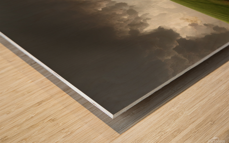 Transitions Wood print