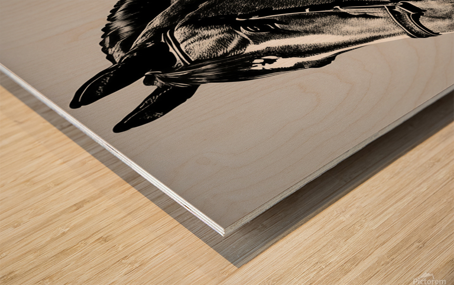 Sinbad. Horse. Line Art. Wood print