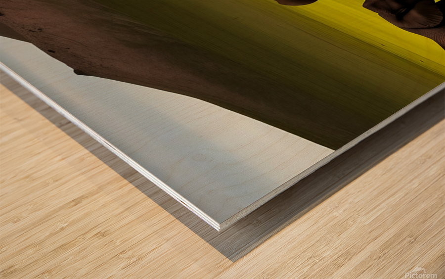 Serene. Elephants Wood print