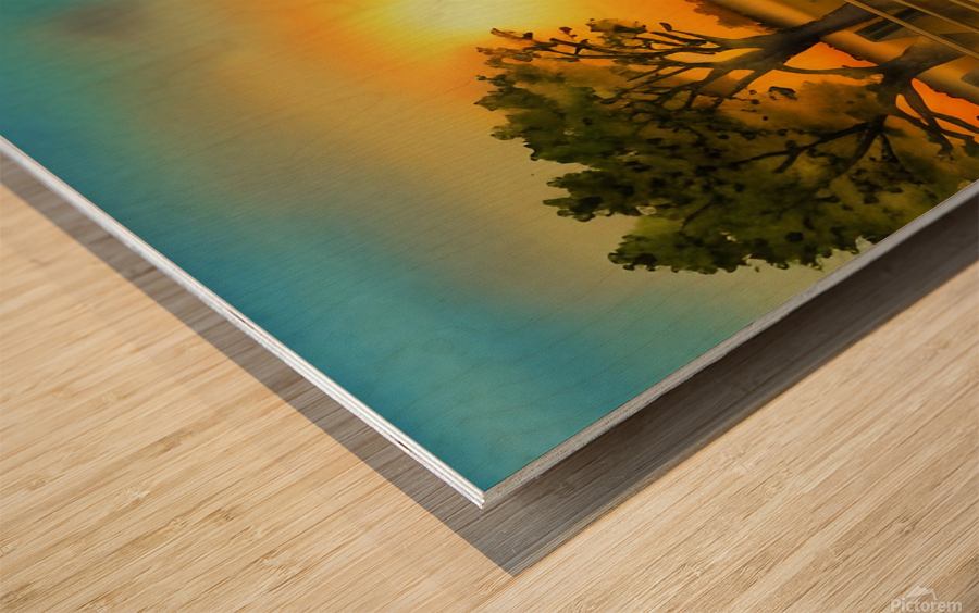 A Day of Reflection Wood print