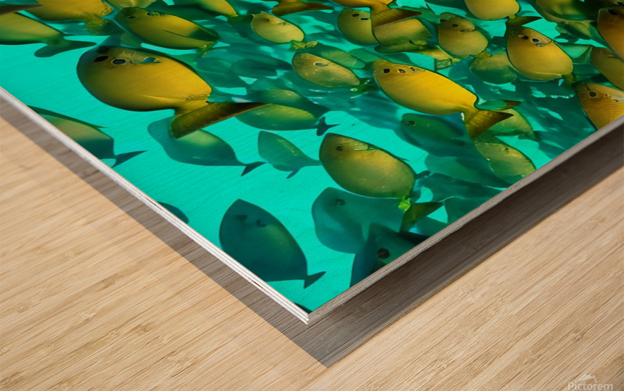 Infiltrated.  Wood print