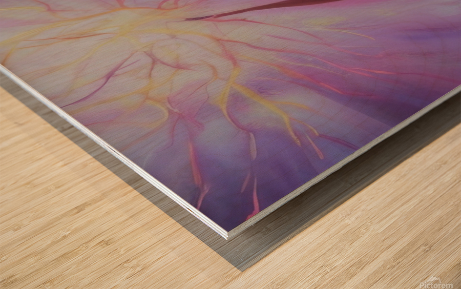 Twilight. Abstract. Impression sur bois