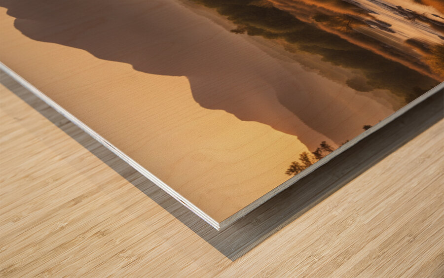 The Artful Gallery 1 Wood print