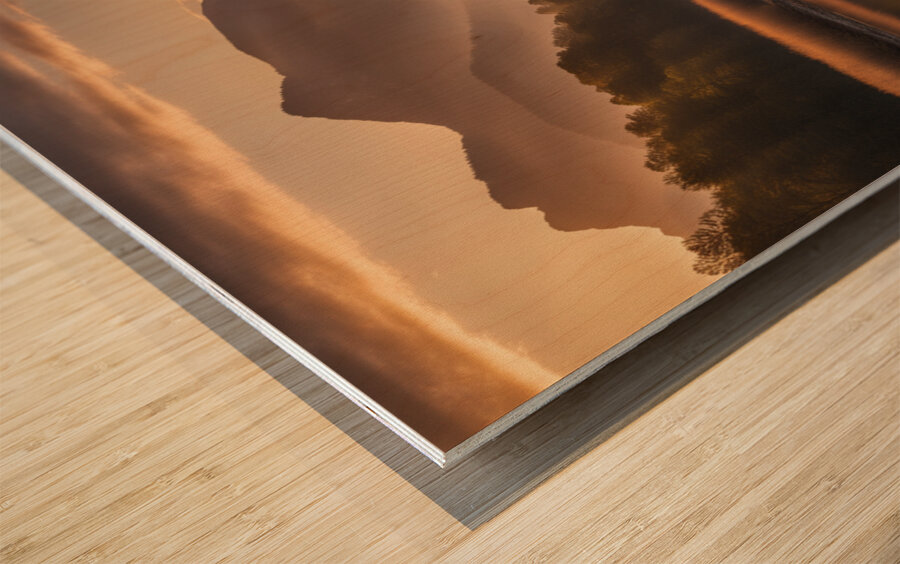 The Artful Gallery 17 Wood print