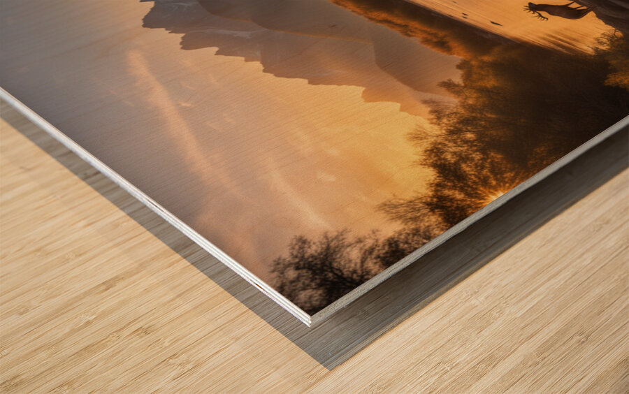 The Artful Gallery 19 Wood print