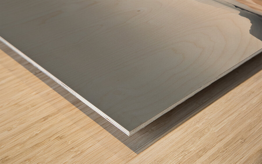 A Touch of Color: Celebrating Hue at The Artful Mane 23 Wood print