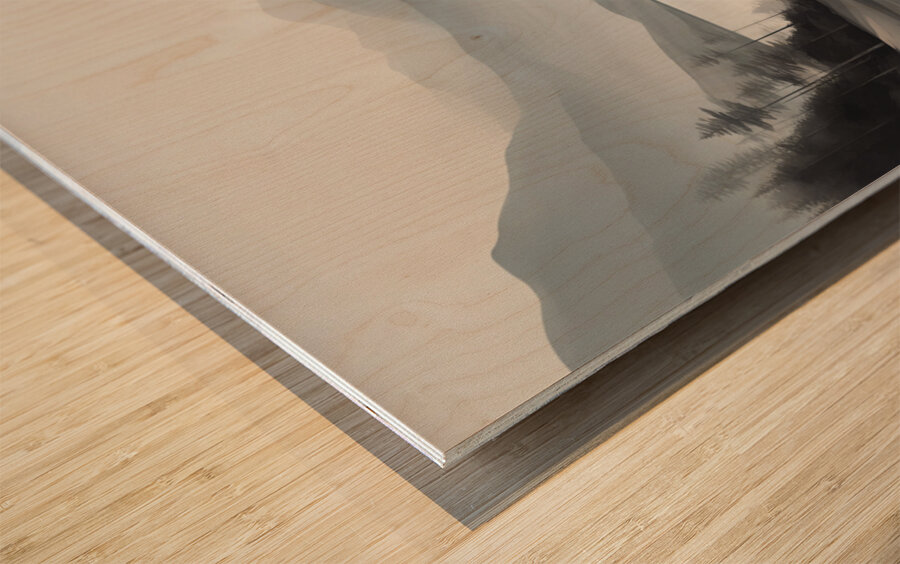 A Touch of Color: Celebrating Hue at The Artful Mane 4 Wood print