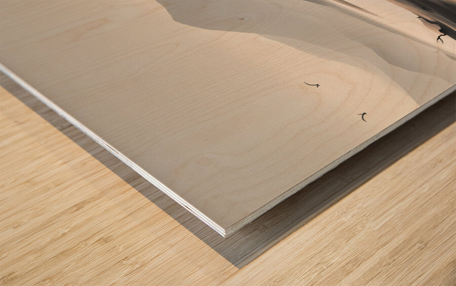 A Touch of Color: Celebrating Hue at The Artful Mane 6 Wood print