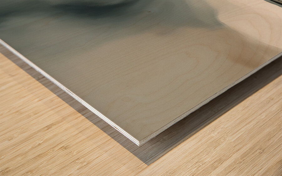 A Touch of Color: Celebrating Hue at The Artful Mane 9 Impression sur bois