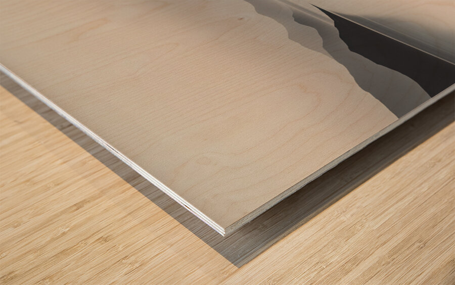 A Touch of Color: Celebrating Hue at The Artful Mane 66 Wood print