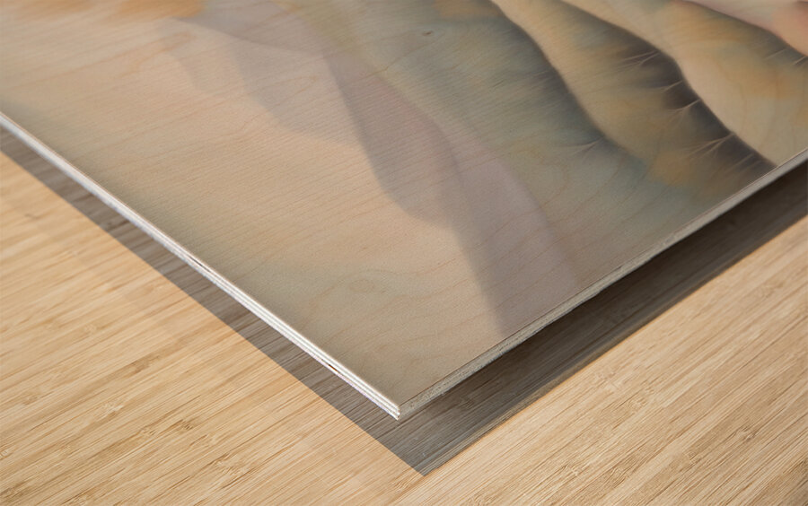 A Touch of Color 2: Celebrating Hue at The Artful Mane 54 Wood print