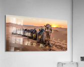 DOWNTIME Acrylic Print