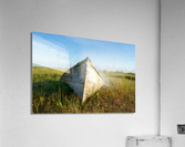 THE DORY Acrylic Print