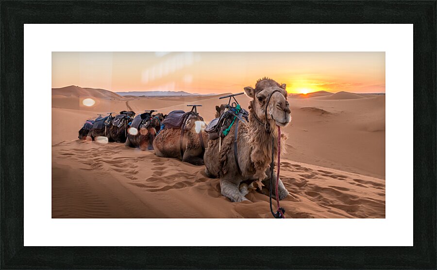 DOWNTIME Picture Frame print