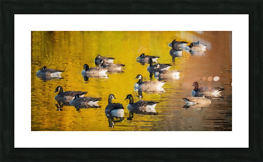 REFLECTIONS Picture Frame print