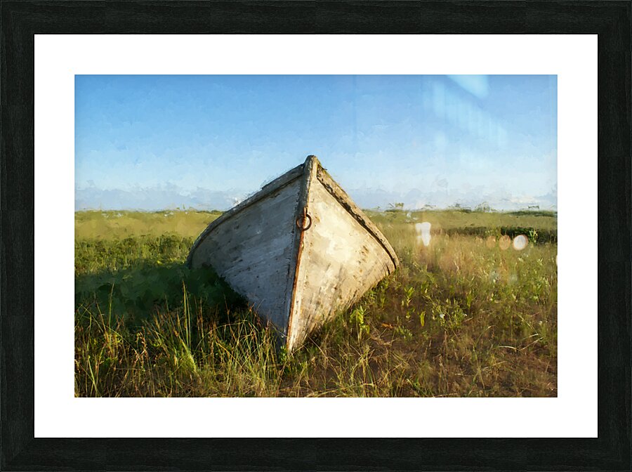 THE DORY Picture Frame print